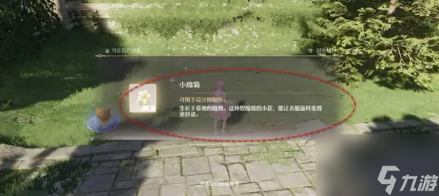 《无限暖暖》小棉菊如何采集