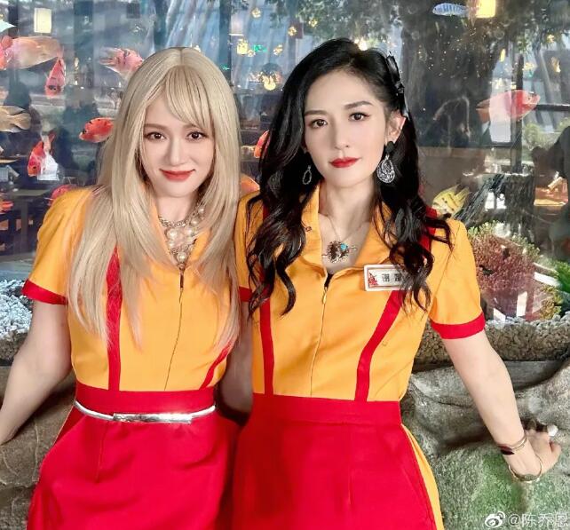 谢娜透露没去陈乔恩婚礼的原因：各种原因错过了