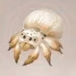 无限暖暖织衣蛛获得方法