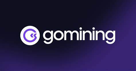 GOMINING币：革新比特币挖矿的潜力之选，值得投资吗？