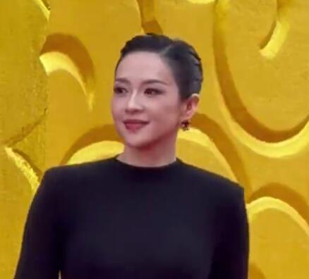 章子怡亮相华表奖红毯 气场全开