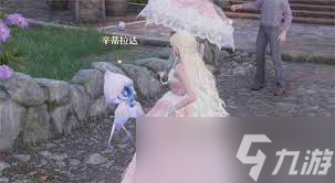 无限暖暖与盛大花焰合影一次任务攻略