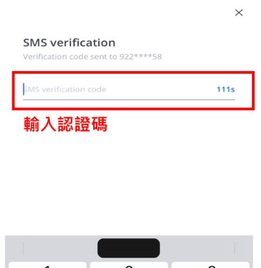 输入验证码