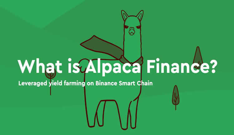 ALPACA币是什么？下架币安后币价飙涨，$ALPACA未来前景如何？