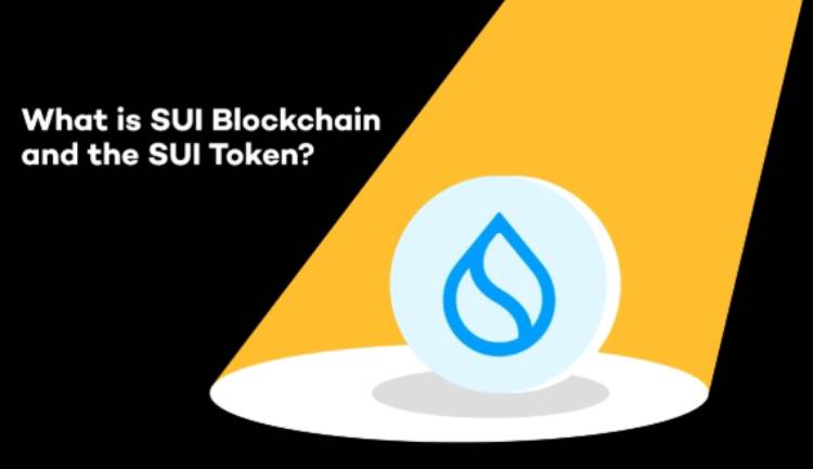 SUI区块链是什么?SUI代币经济与市场表现完全解析