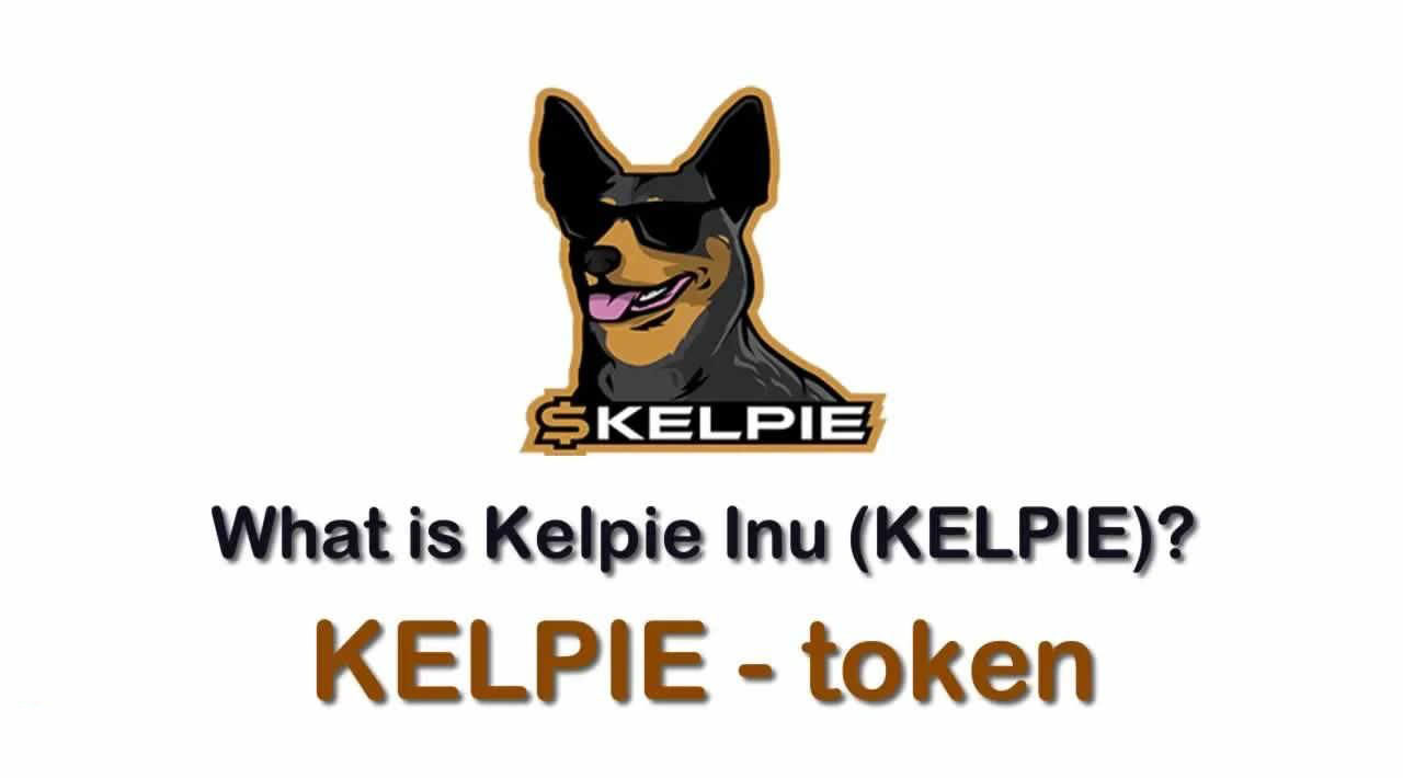 KELPIE是什么币种？一文了解KELPIE币