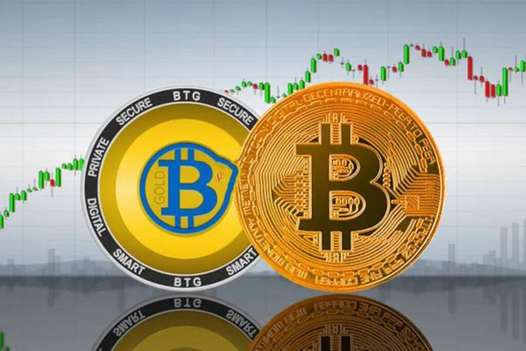 一文详解比特币和比特币现金有哪些相同点和不同点？