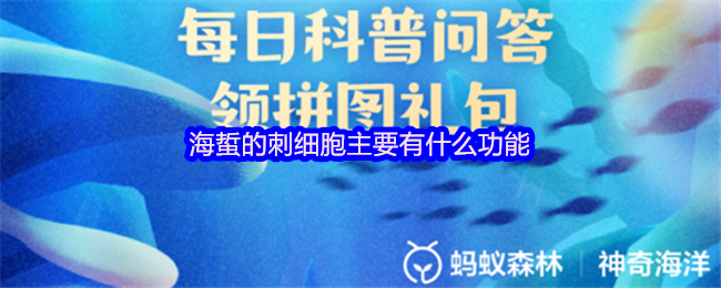 海蜇的刺细胞主要有什么功能