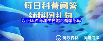 根口水母是哪种海洋动物的别称