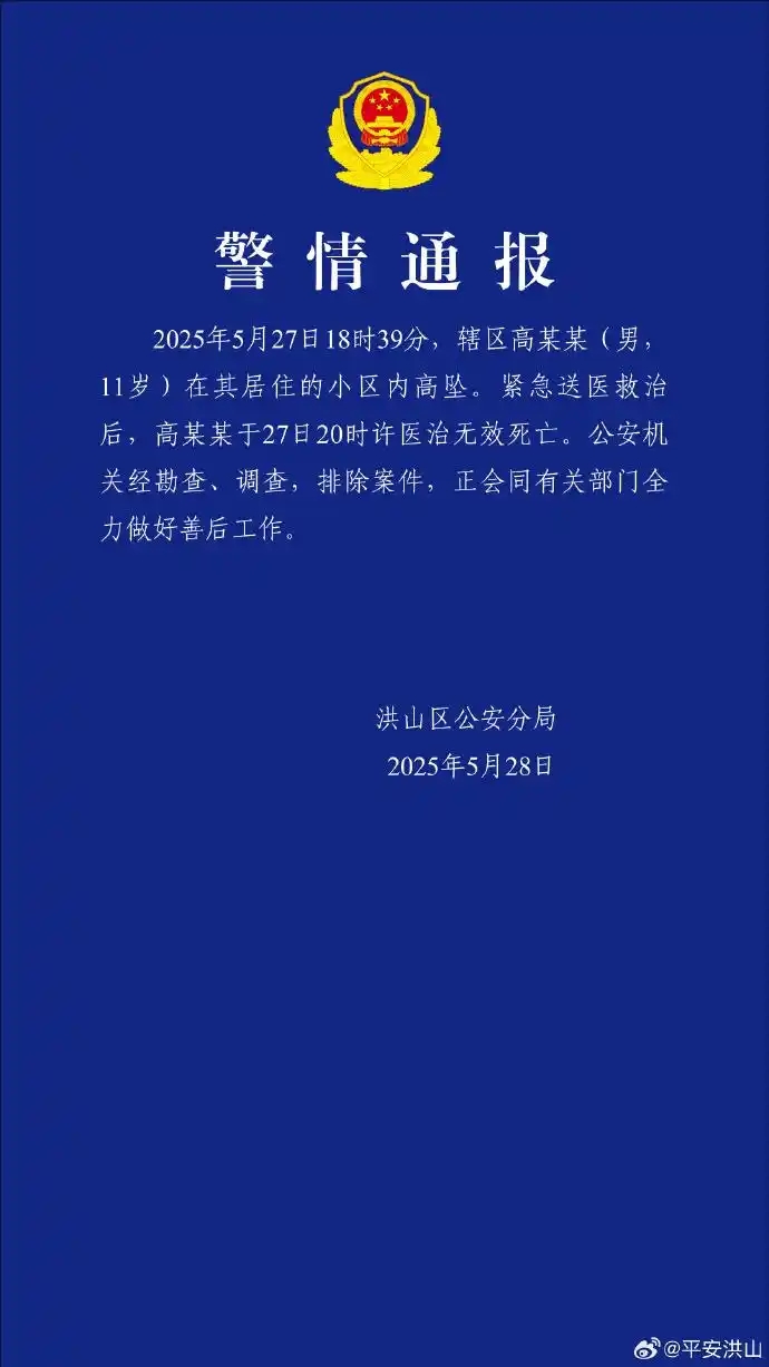 武汉洪山11岁男孩小区内坠亡 警方发布最新通报