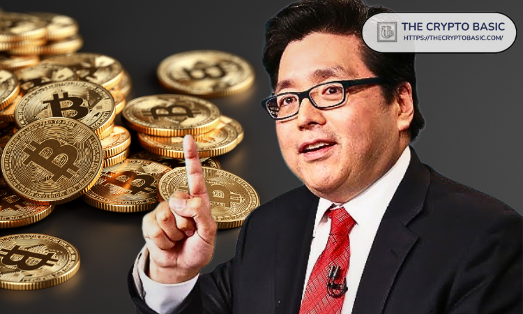 Fundstrat的汤姆·李将2025年比特币目标价上调至25万美元；长期价值设定为300万美元