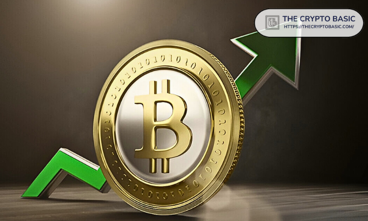 比特币可能在突破12.5万美元前最后一次回调：以下是补仓的最佳时机