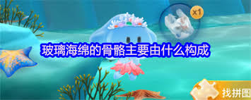 玻璃海绵的骨骼是由什么构成的
