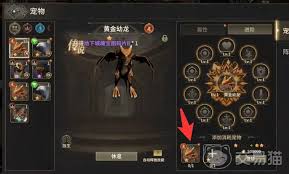 奇迹世界起源战士适合带什么宠物