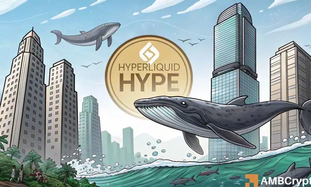 Hyperliquid的需求在两大群体中激增——HYPE接下来会如何发展？