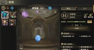 奇迹世界起源宠物如何获取