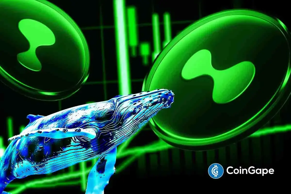 Hyperliquid巨鲸获利1300万美元，HYPE价格创历史新高