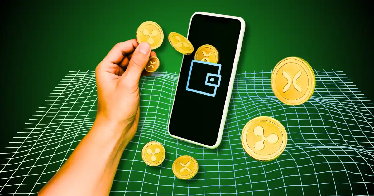 XRP富豪榜：你跻身前10%了吗？