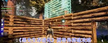 黑光生存进化如何种地