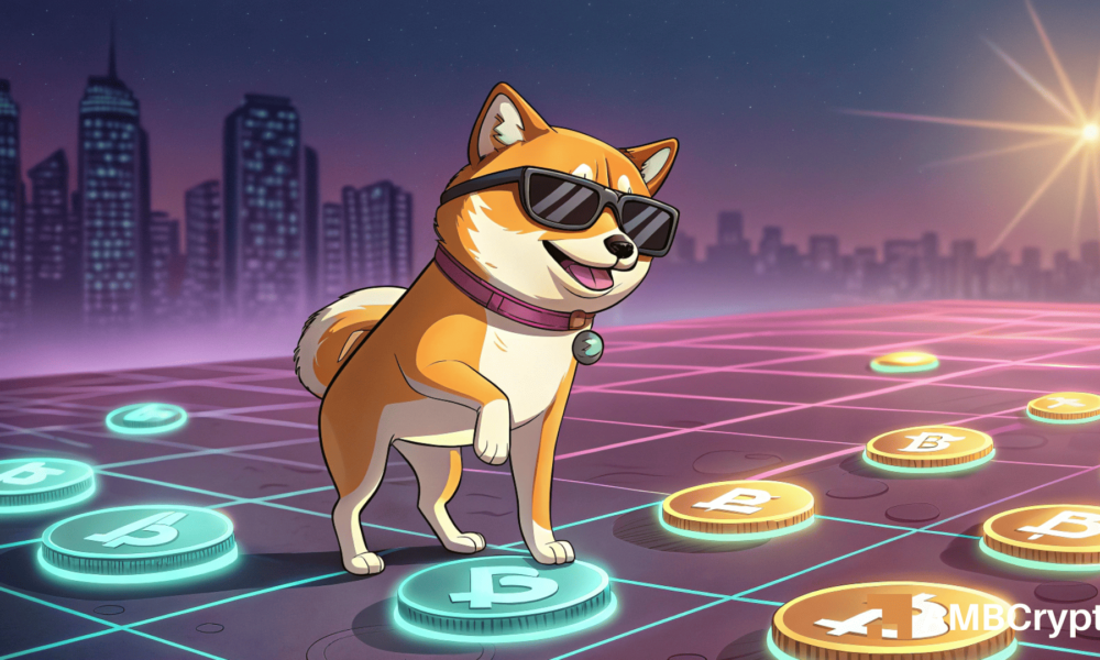 柴犬币——流入量飙升6,306%？这可能是突破也可能是牛市陷阱，如果...