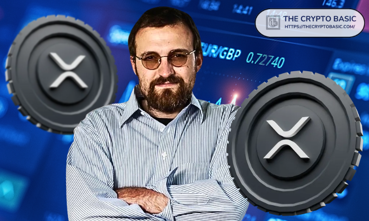 卡尔达诺创始人全力投入XRP整合：分析师