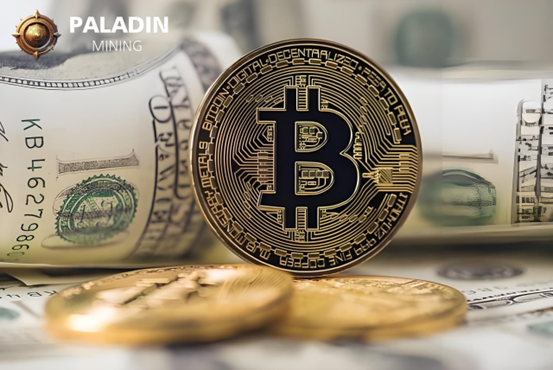 Paladinmining正在撼动加密世界，让比特币交易者每天能赚取5000美元