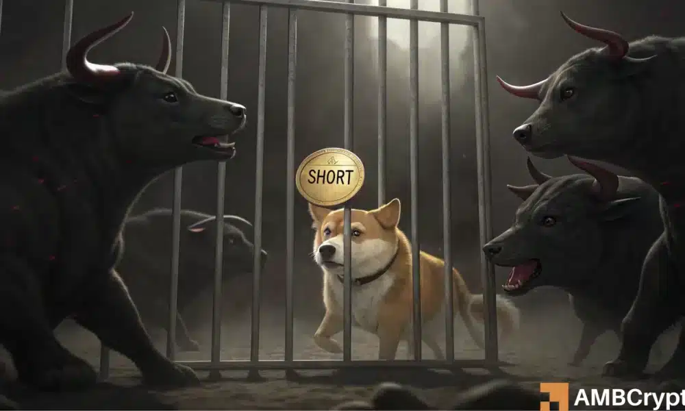 狗狗币进入盘整阶段——DOGE是否在为0.20美元设置熊市陷阱？