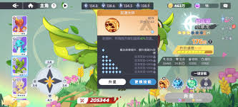 龙魂旅人圣火5是什么