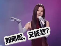 如何呢又能怎梗是什么意思