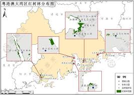 红树林分布在哪些地区