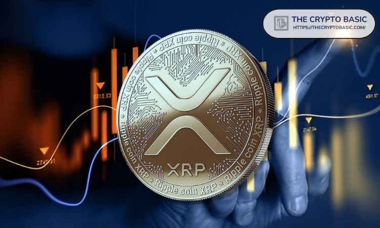 专家称未出售XRP的持有者将无法理解未来的财富