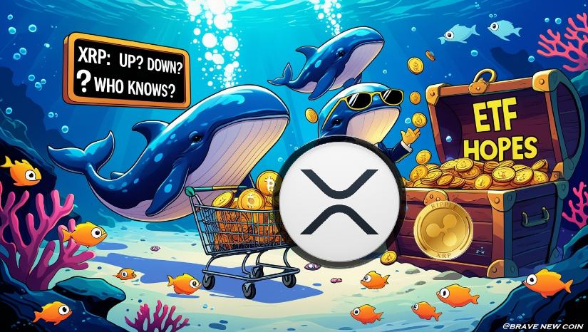 今日XRP新闻：XRP巨鲸搅动市场，积累与抛售引发波动 - 勇敢新币