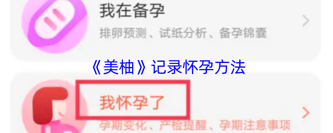 《美柚》记录怀孕方法
