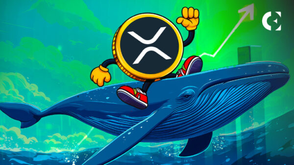 XRP巨鲸对Ripple争取美国银行牌照投下37亿美元的信任票