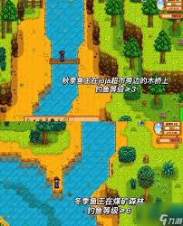 星露谷物语哪里能钓到鱼王