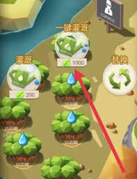 碳碳岛如何浇水