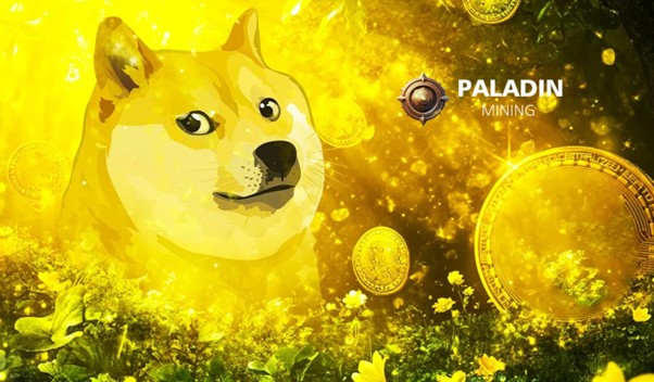 日赚6700美元 - 使用狗狗币(DOGE)启动比特币矿机