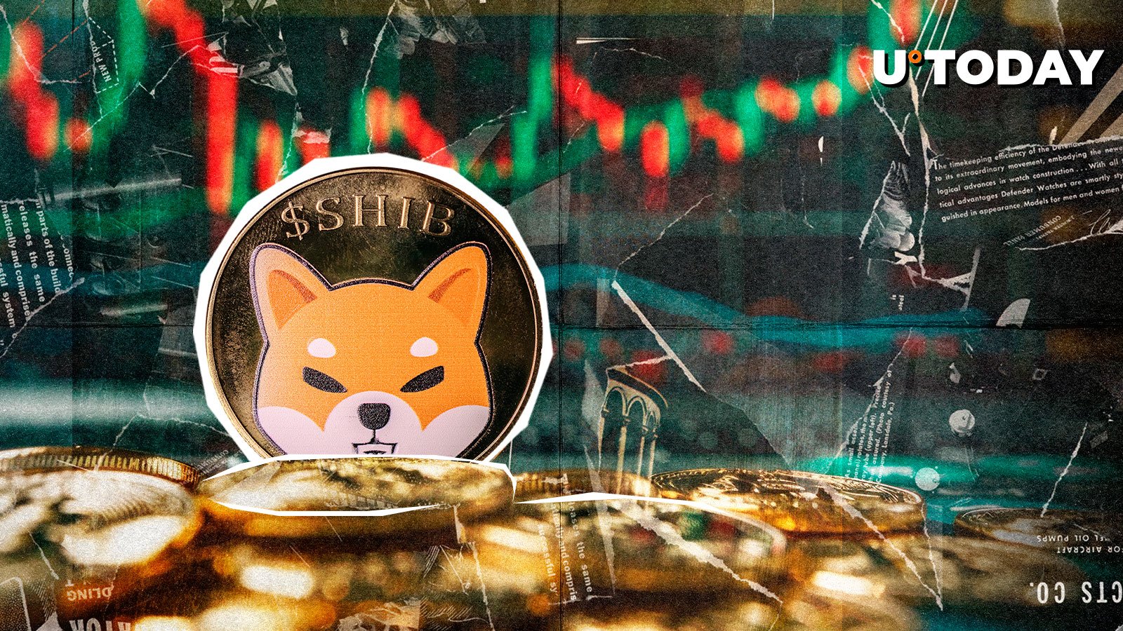 柴犬币（SHIB）：24小时内暴涨近200%，发生了什么？