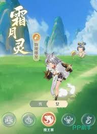 灵兽大冒险中袁天罡怎么样