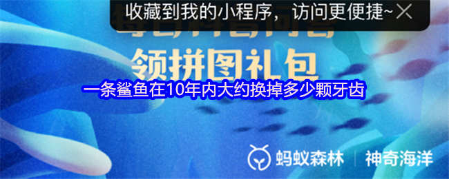 一条鲨鱼在10年内大约换掉多少颗牙齿