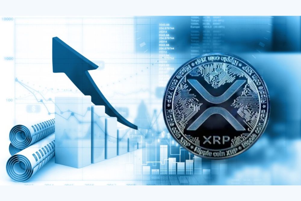 资深分析师：当你放大XRP的视角，很难不全力以赴