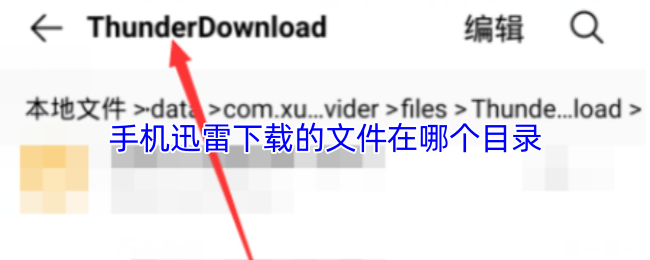 手机迅雷下载的文件在哪个目录