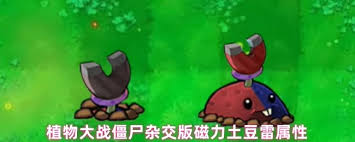 植物大战僵尸杂交版磁力土豆雷好用吗