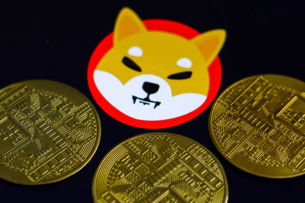 柴犬币突破行情已定：钻石手收益高达783%，SHIB销毁率暴涨1784%