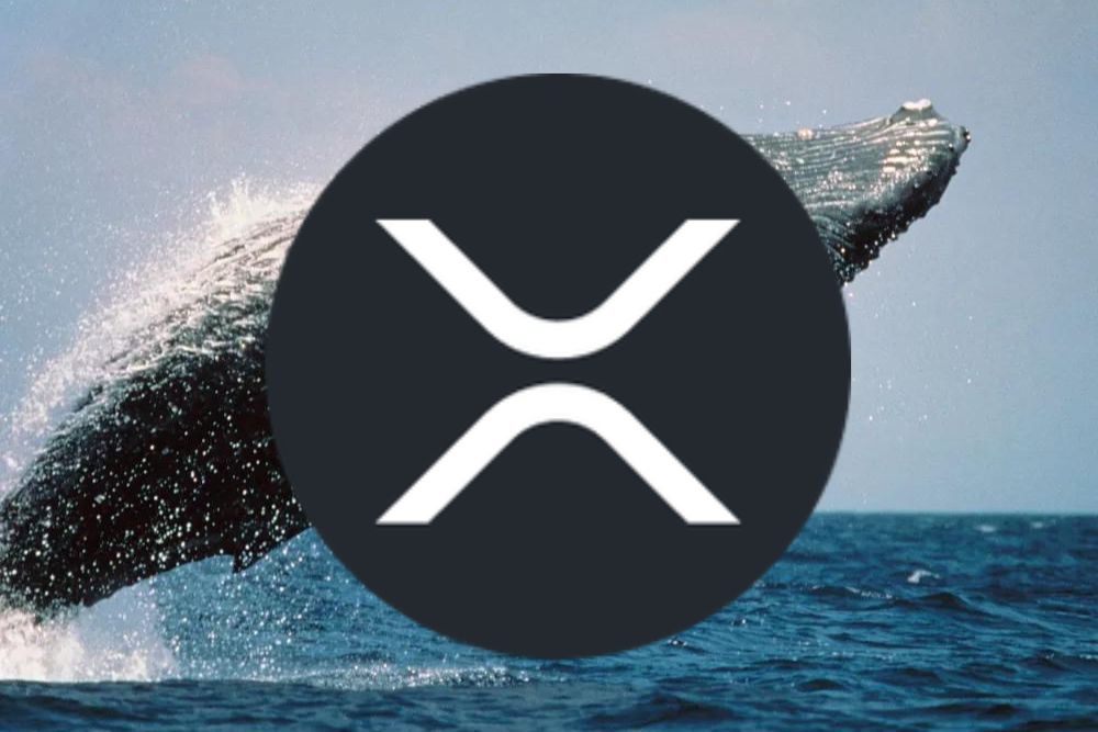 近期行动表明XRP巨鲸们知道大事即将发生