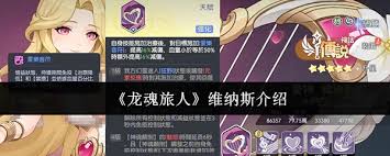 龙魂旅人维纳斯怎么样