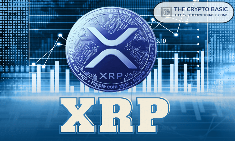 专家称XRP是最明显的买入选择，因为BTC和ETH变得太贵