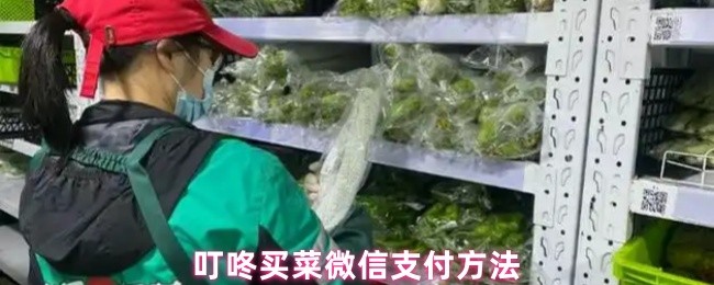 叮咚买菜微信支付方法
