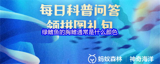 绿鳍鱼的胸鳍通常是什么颜色