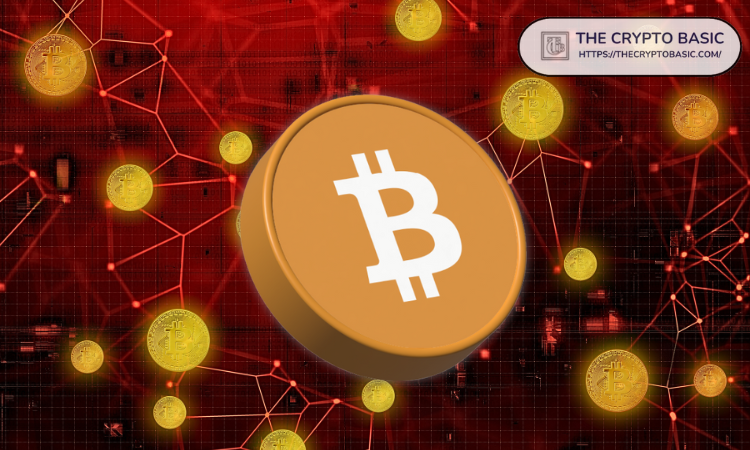 比特币正准备迎接下一波大行情，顶级分析师表示